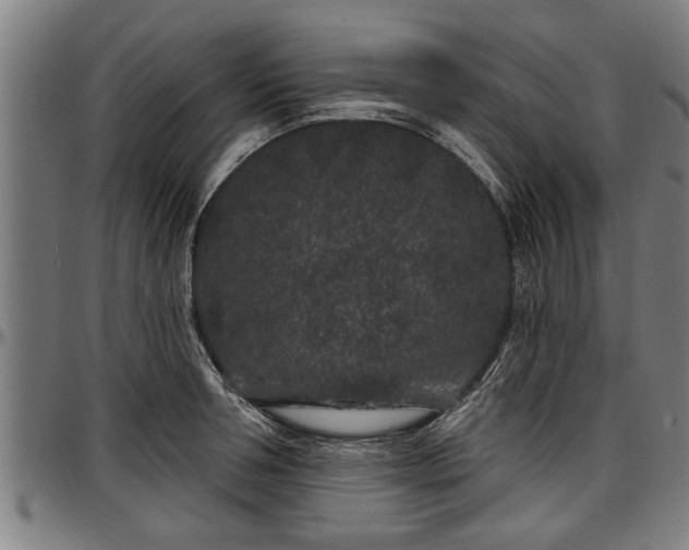 X0000097470994200802291306