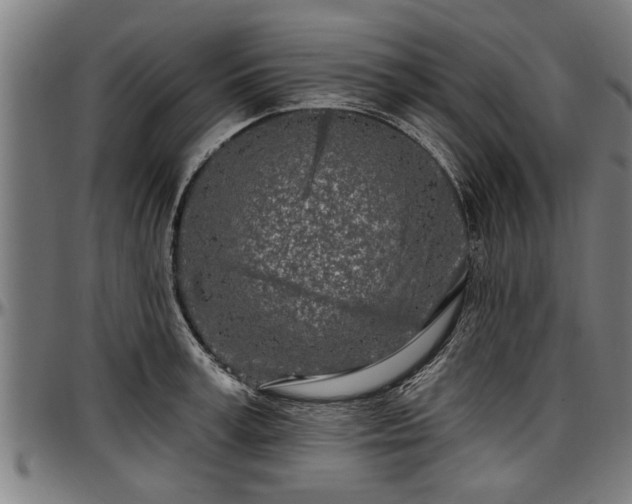 X0000097470995200802291306