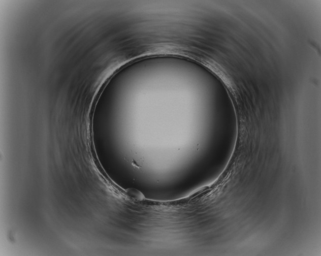 X0000097470996200802291306