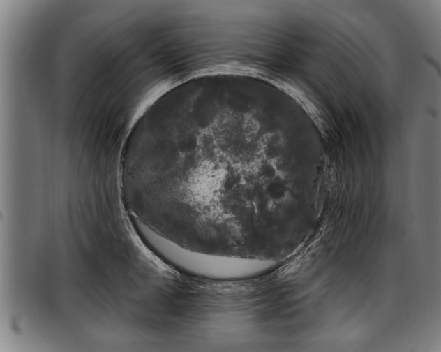 X0000097470998200802291306