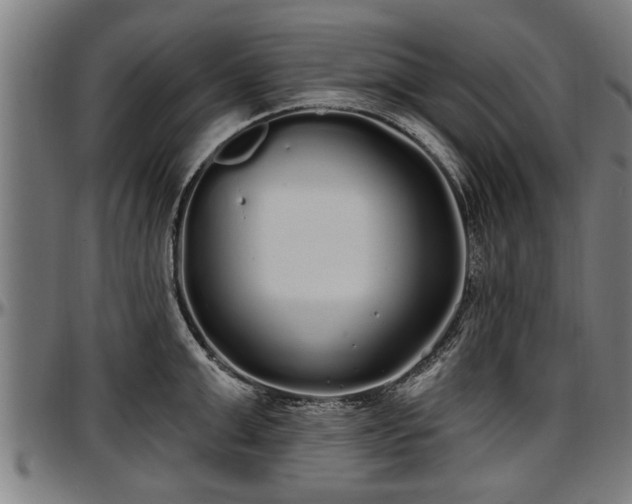 X0000097470999200802291306