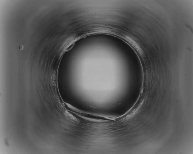 X0000097471001200802291306