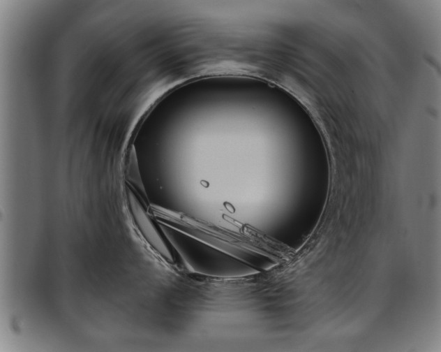 X0000097471008200802291306