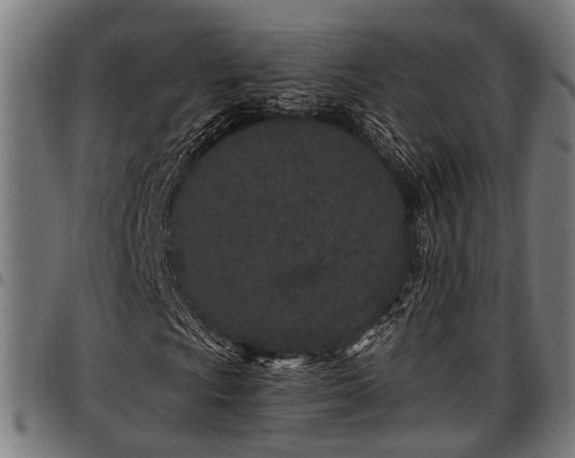 X0000097471009200802291306