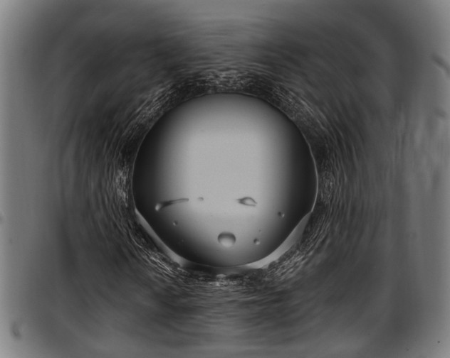 X0000097471010200802291306