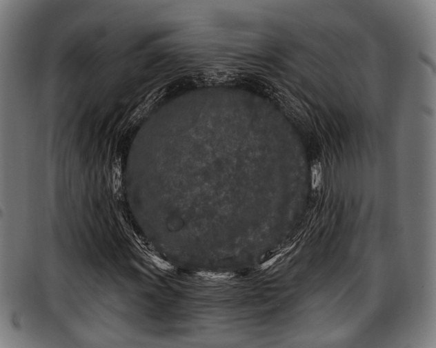 X0000097471011200802291306
