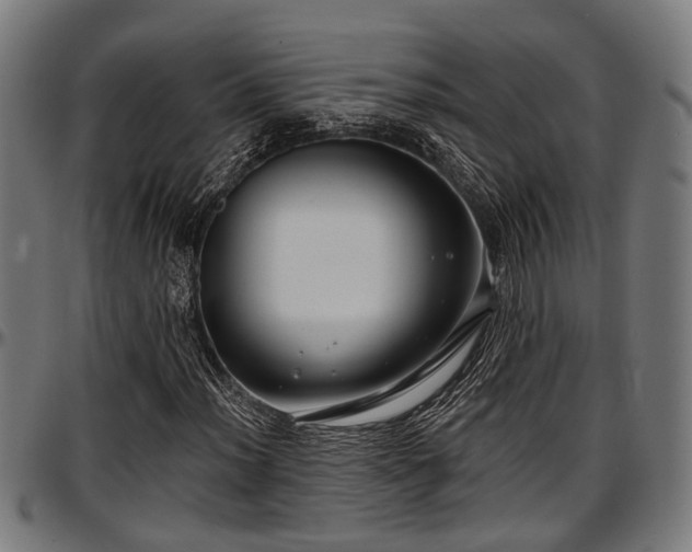 X0000097471012200802291306