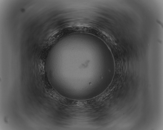 X0000097471013200802291306