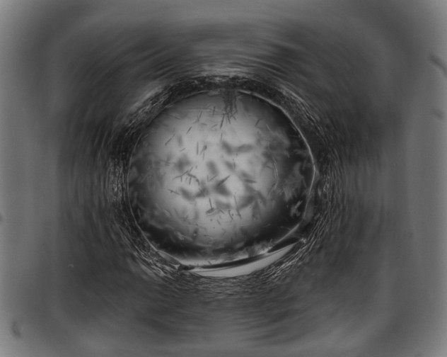X0000097471014200802291306