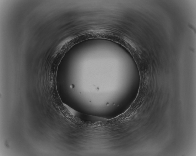 X0000097471016200802291306