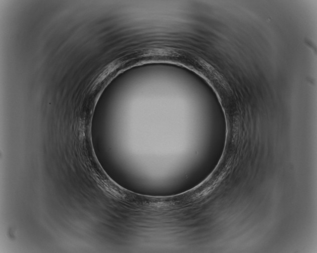 X0000097471017200802291306