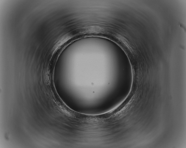 X0000097471018200802291306