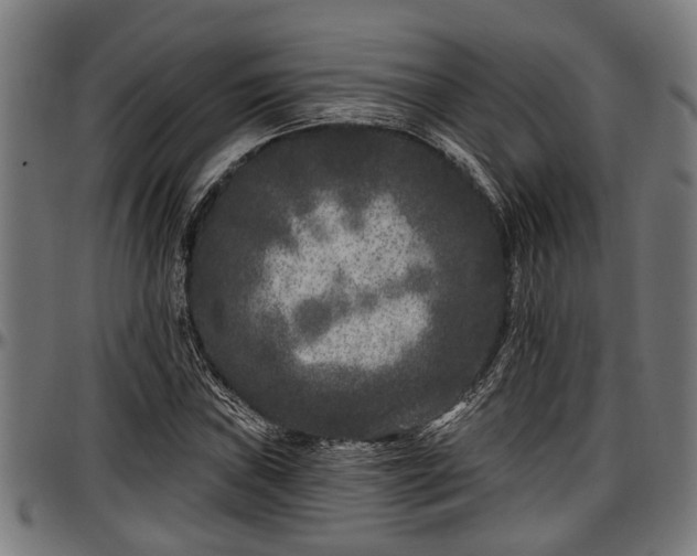 X0000097471019200802291306