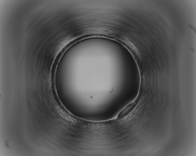X0000097471020200802291306