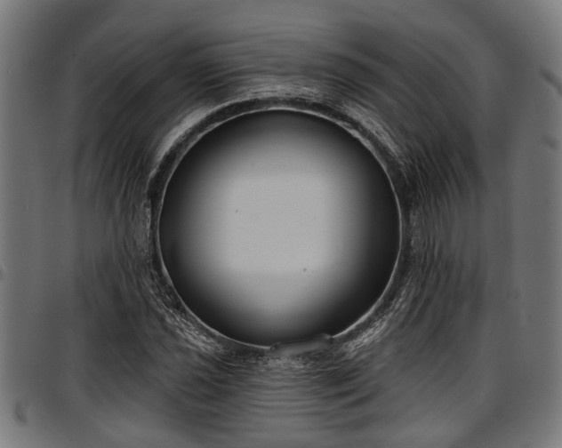 X0000097471021200802291306