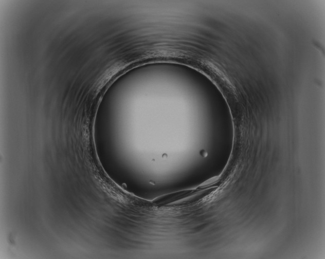 X0000097471025200802291306