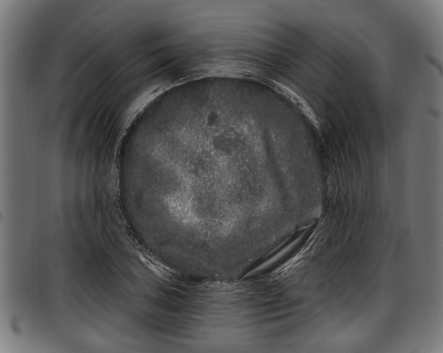 X0000097471027200802291306