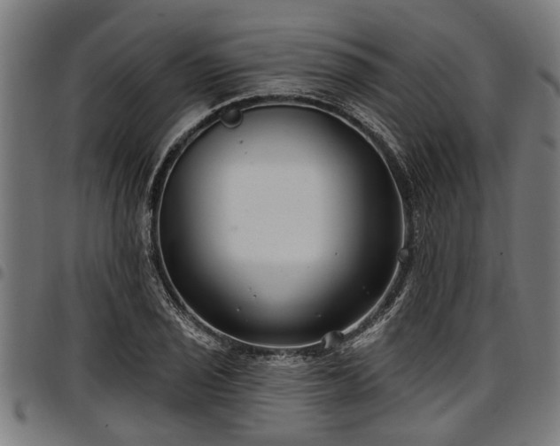 X0000097471029200802291306