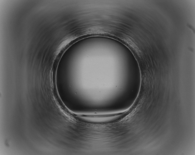 X0000097471030200802291306
