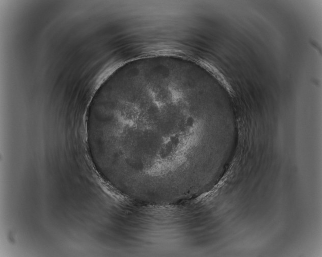 X0000097471031200802291306