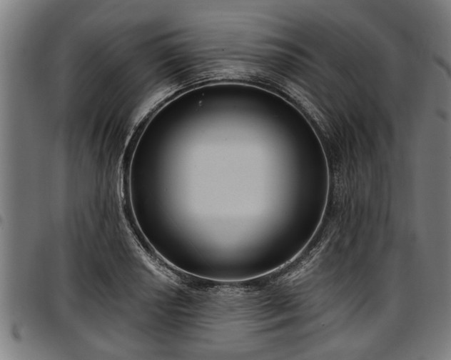 X0000097471034200802291306