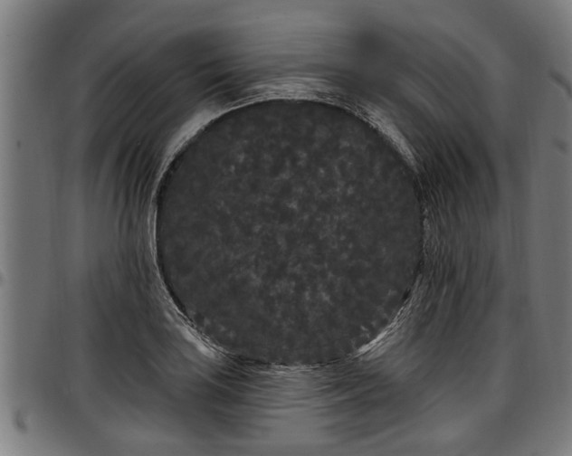 X0000097471035200802291306