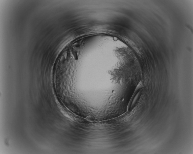 X0000097471039200802291306