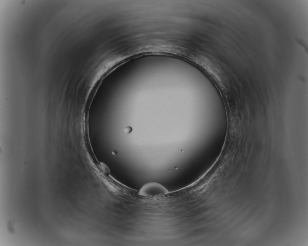 X0000097471040200802291306