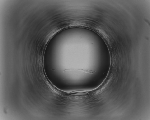X0000097471041200802291306