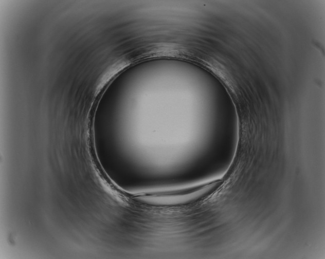 X0000097471042200802291306