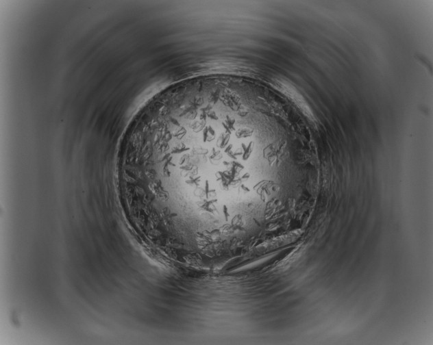 X0000097471043200802291306