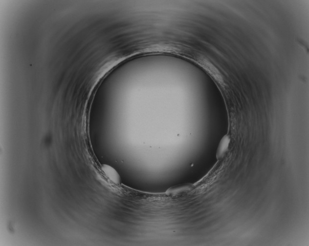 X0000097471044200802291306