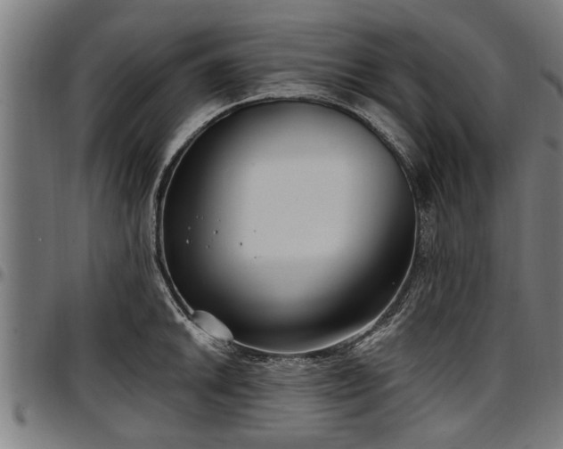 X0000097471046200802291306