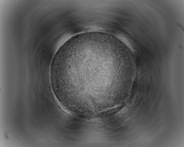 X0000097471047200802291306