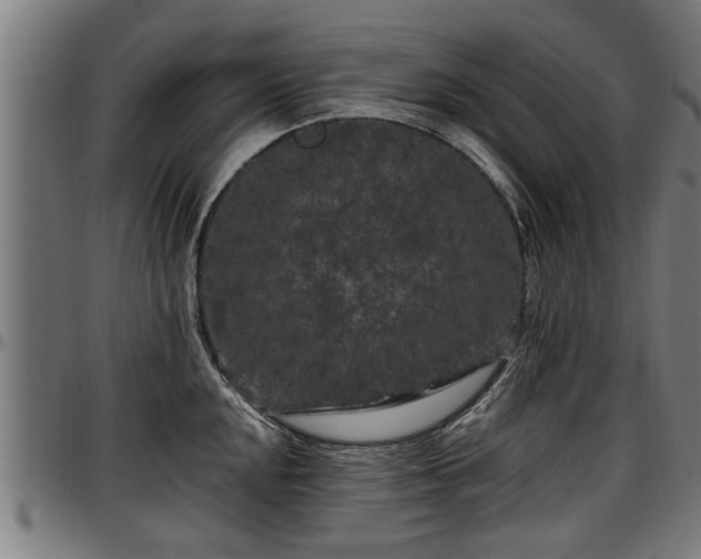 X0000097471048200802291306