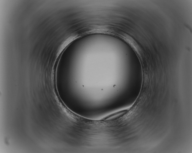 X0000097471050200802291306