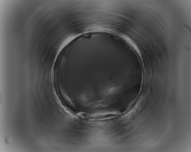 X0000097471053200802291306