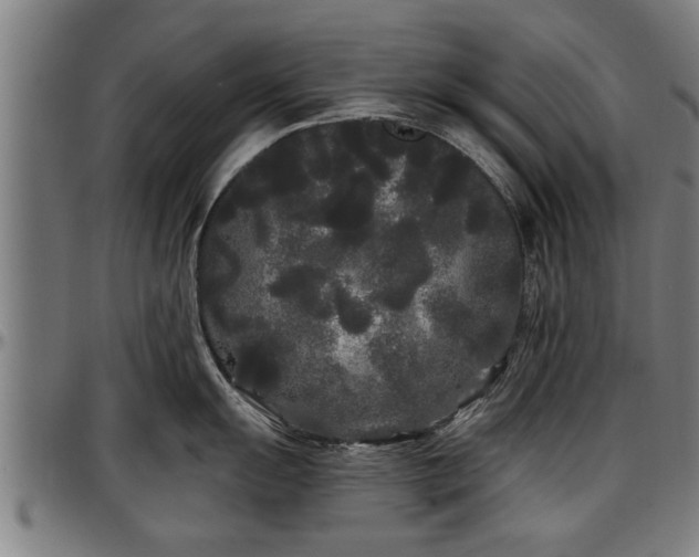 X0000097471055200802291306