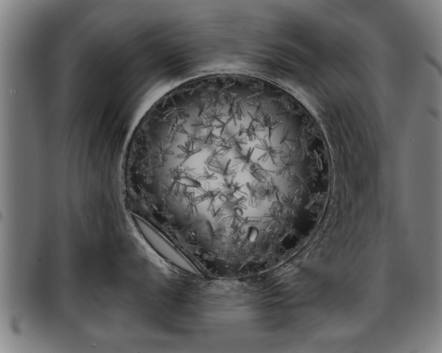 X0000097471056200802291306