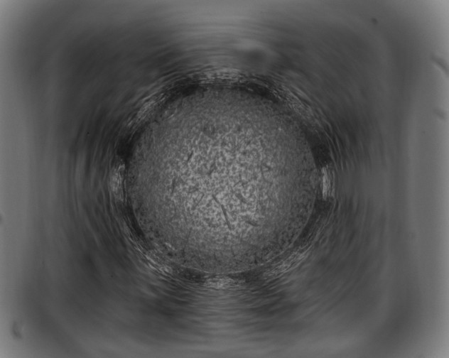 X0000097471059200802291305