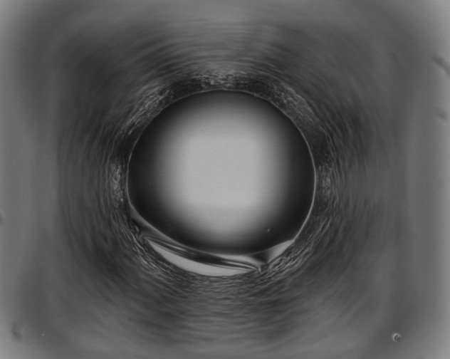 X0000097471060200802291305