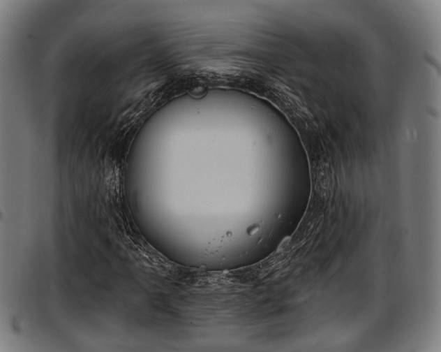 X0000097471061200802291305