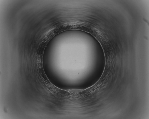 X0000097471062200802291305