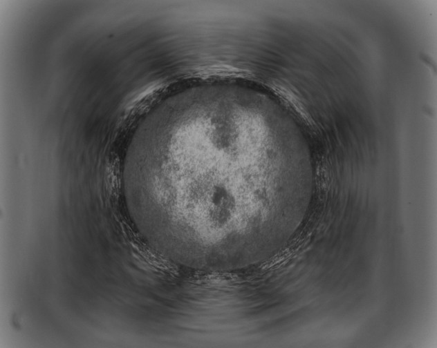 X0000097471063200802291305