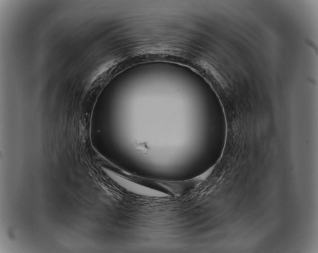 X0000097471064200802291305