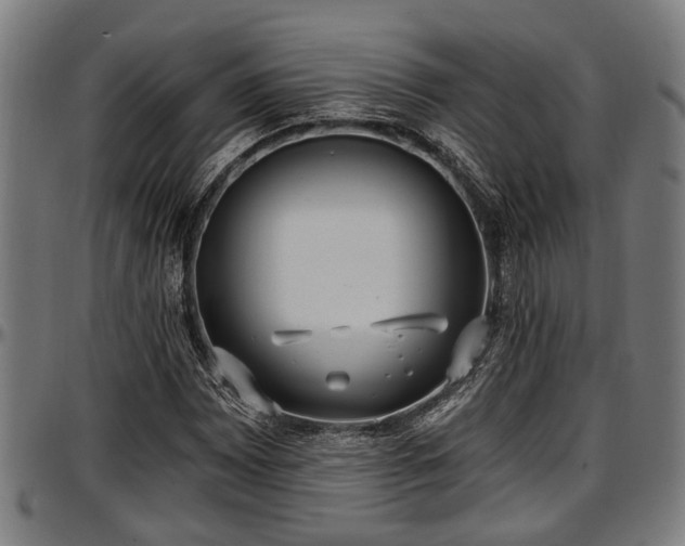 X0000097471065200802291305