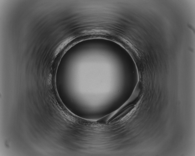 X0000097471066200802291305