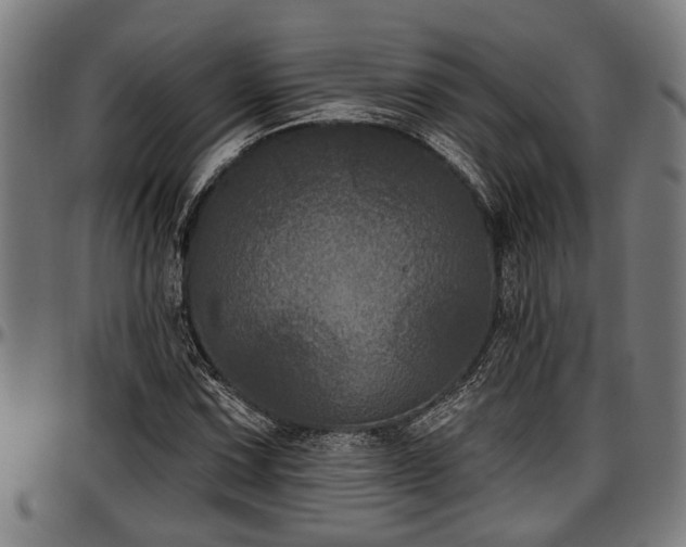 X0000097471067200802291305