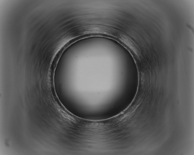 X0000097471068200802291305