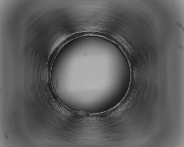 X0000097471069200802291305